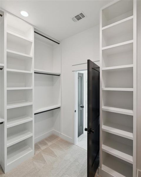 Walk in closet with light carpet