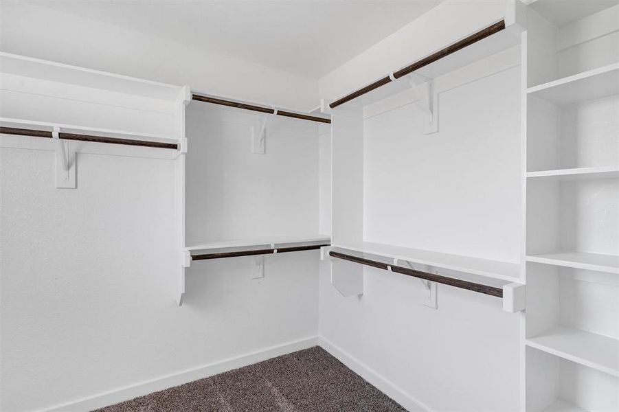 Spacious closet featuring carpet floors