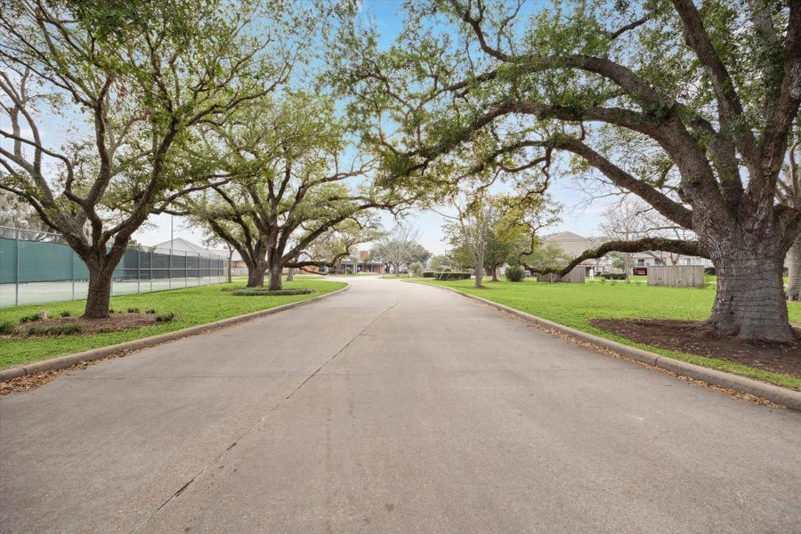Entry to the club is framed by beautiful mature oak trees.