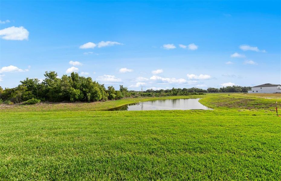 Natural landscape and outdoor views near Reagan Landing in Bradenton (Image 27).