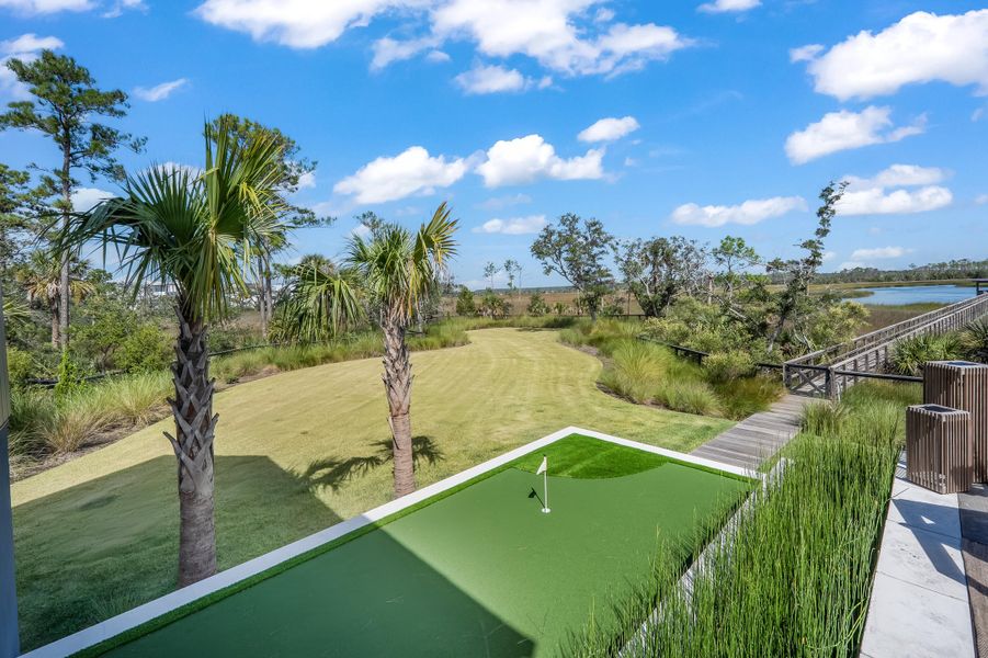 Natural landscape and outdoor views near in Charleston (Image 38). Natural landscape and outdoor views near in Charleston (Image 38).