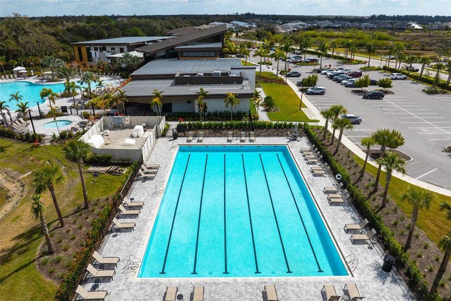 Community amenities in , Sarasota (Image 25). Community amenities in , Sarasota (Image 25).