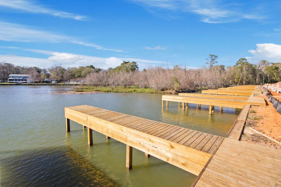 Natural landscape and outdoor views near Lake Conroe Cove in Willis (Image 3).