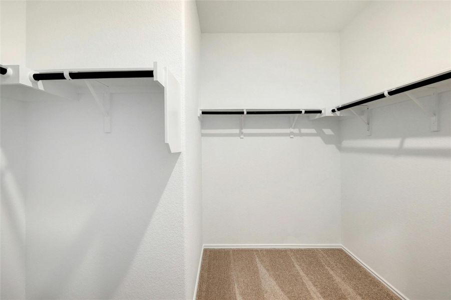 Walk in closet with carpet flooring