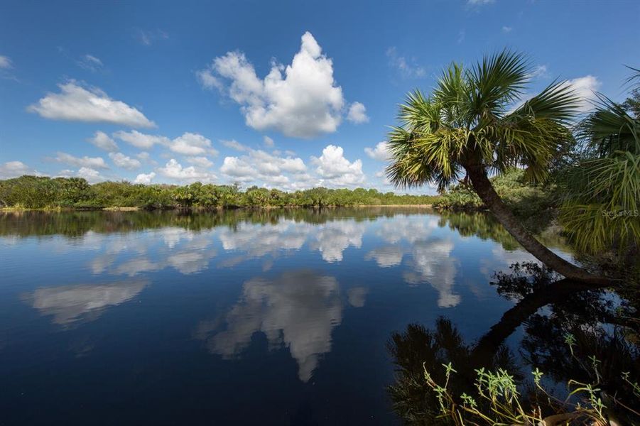 Natural landscape and outdoor views near  in North Port (Image 45).