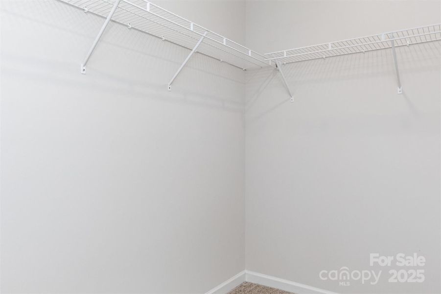 Representational Photo