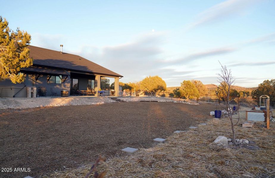 Backyard garden area Backyard garden area