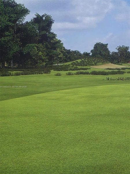 Natural landscape and outdoor views near  in Miami (Image 58).