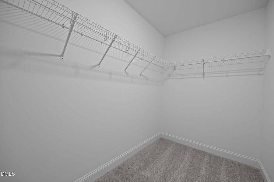 20-web-or-mls-IMG_1610