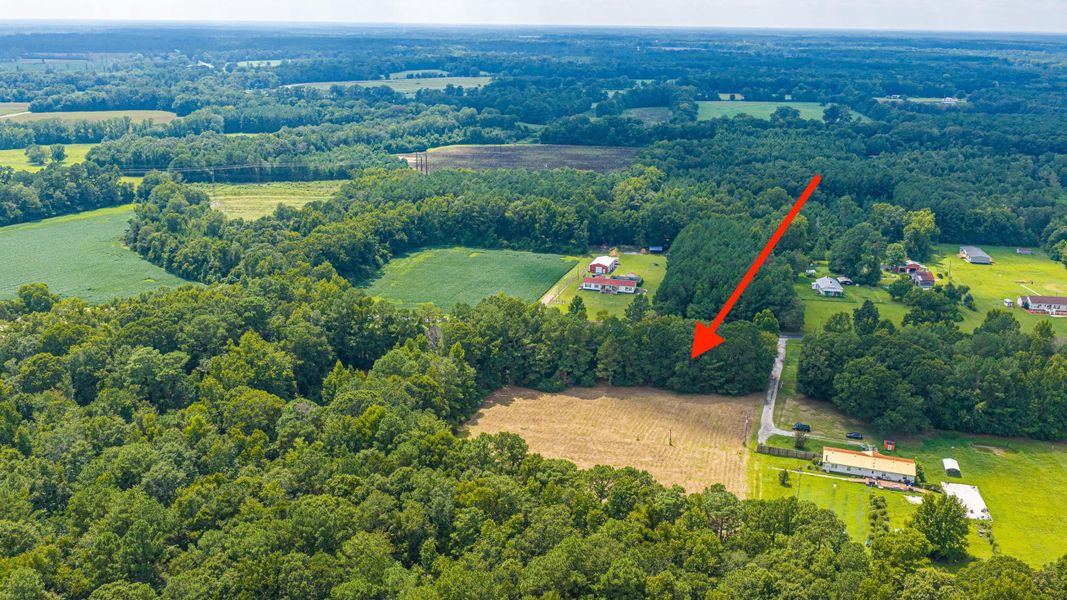 Natural landscape and outdoor views near  in Holly Hill (Image 69).