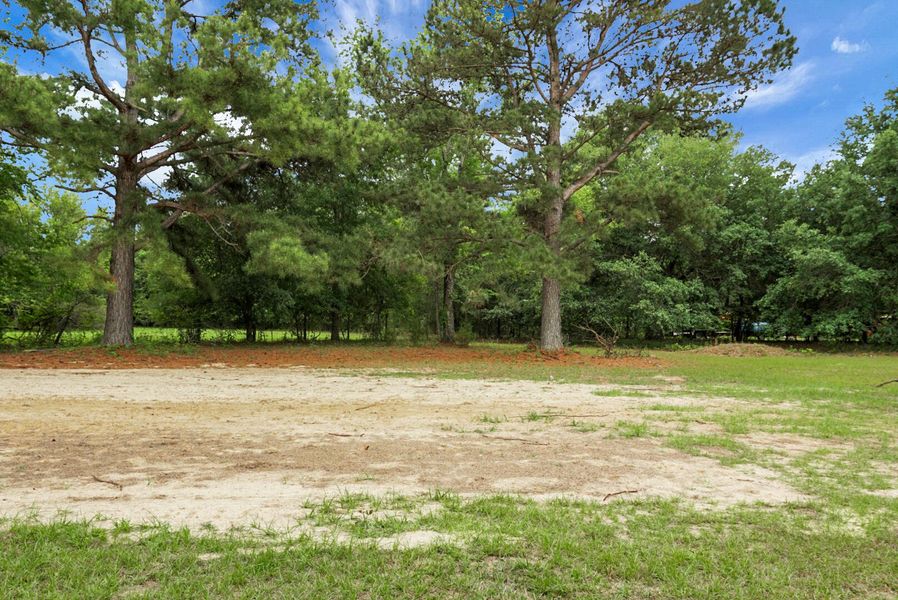 Natural landscape and outdoor views near  in Eutawville (Image 50).
