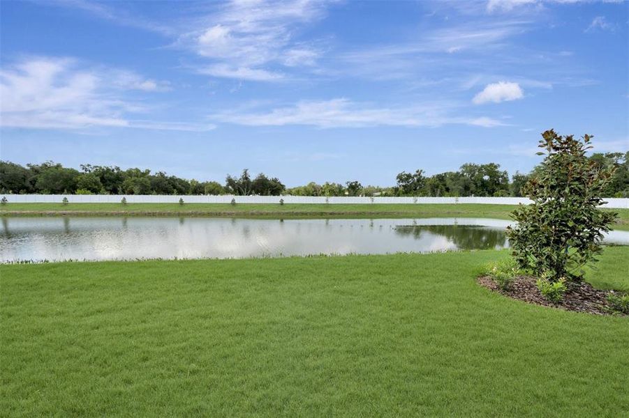 Natural landscape and outdoor views near Lakeview Crossing – Classic Series in Sarasota (Image 38). Natural landscape and outdoor views near Lakeview Crossing – Classic Series in Sarasota (Image 38).