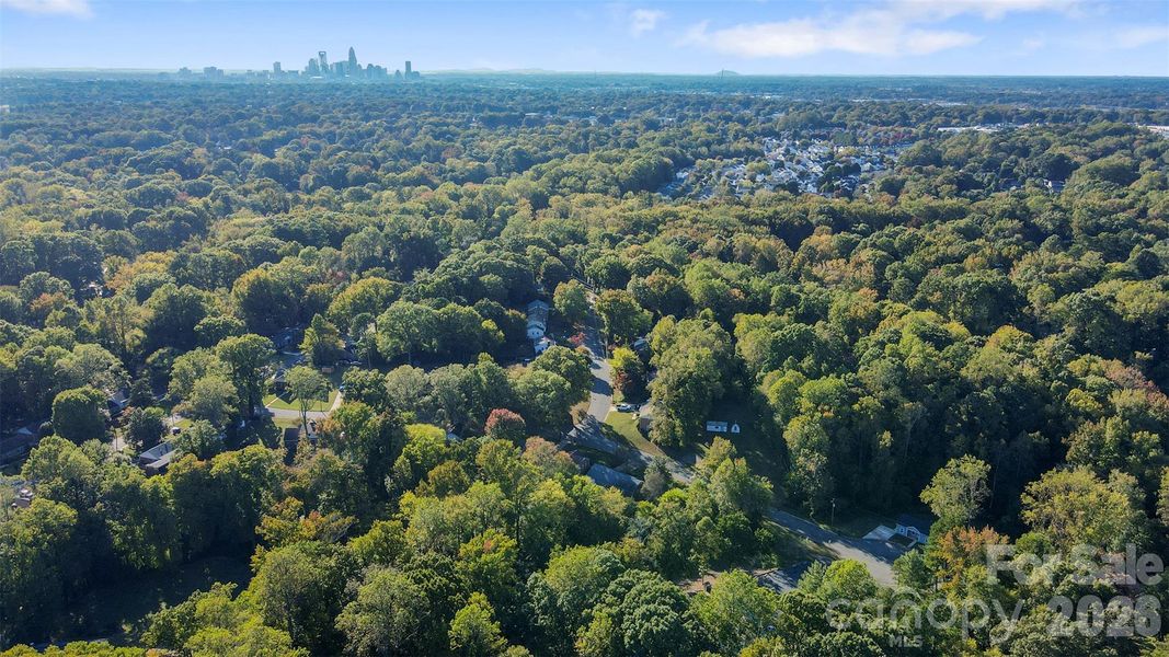 Natural landscape and outdoor views near  in Charlotte (Image 34).