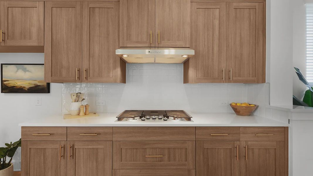 Close-up of interior finishes inside a home in Santa Rita Ranch, Liberty Hill (Image 19).