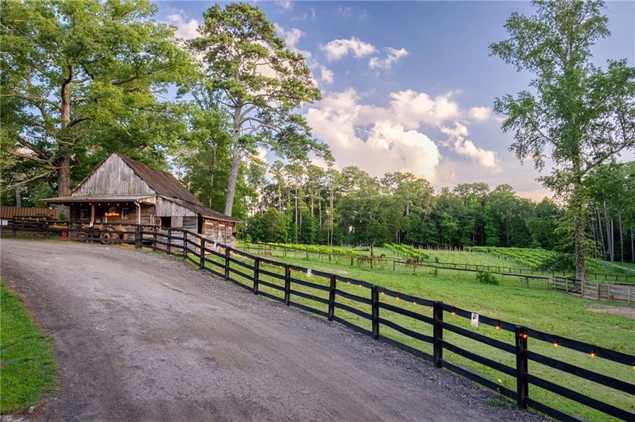 Natural landscape and outdoor views near Echo at Crabapple in Milton (Image 25).
