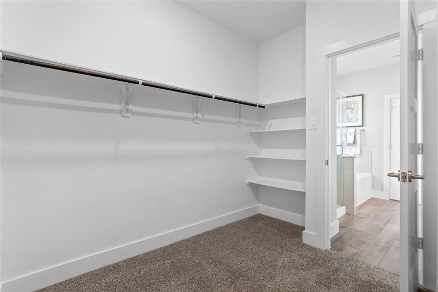 Scott's Ridge Recreation Area, a day-use swim beach located within the national forest Scott's Ridge Recreation Area, a day-use swim beach located within the national forest