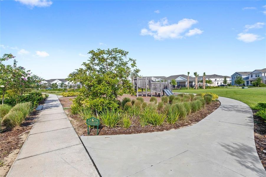 Community amenities in Harvest at Ovation, Winter Garden (Image 33).