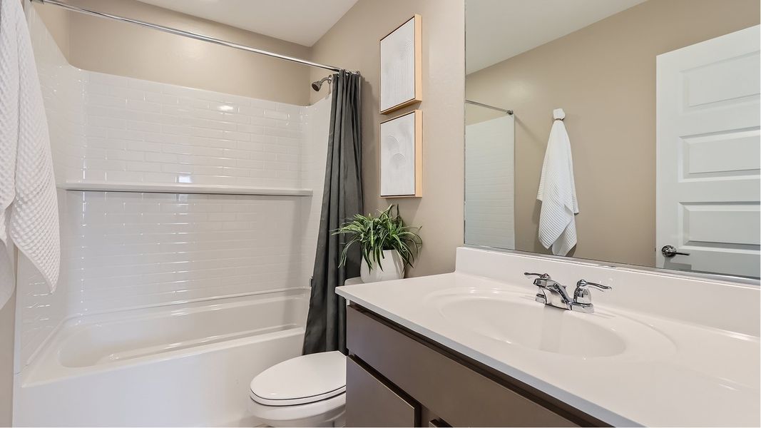 2569 Lilac Bath2 F1 2569 Lilac Bath2 F1