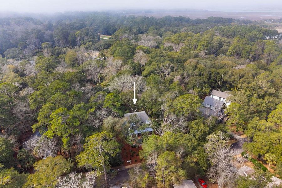 Natural landscape and outdoor views near  in Seabrook Island (Image 52).