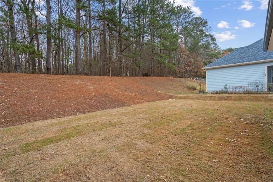 Natural landscape and outdoor views near in Carrollton (Image 43). Natural landscape and outdoor views near in Carrollton (Image 43).