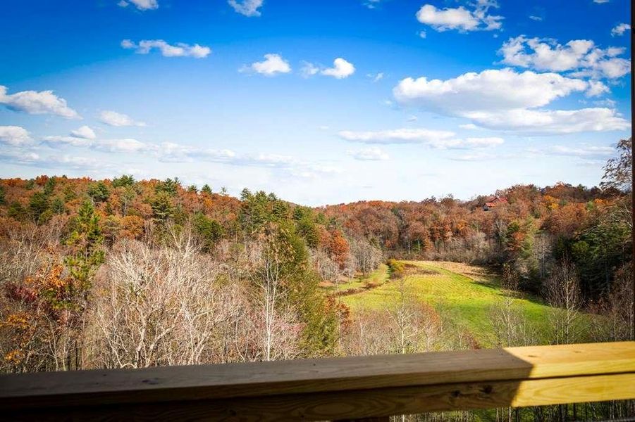 Natural landscape and outdoor views near  in Mineral Bluff (Image 65).