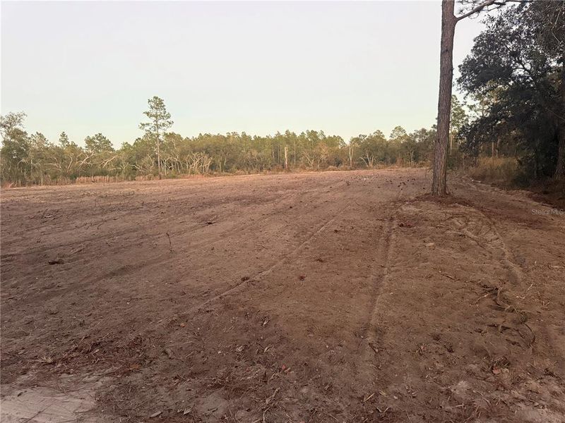 Site preparation for new homesites in , Bronson (Image 8).