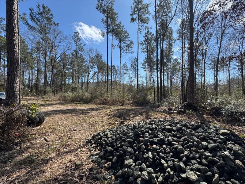 Natural landscape and outdoor views near  in Broaddus (Image 12).