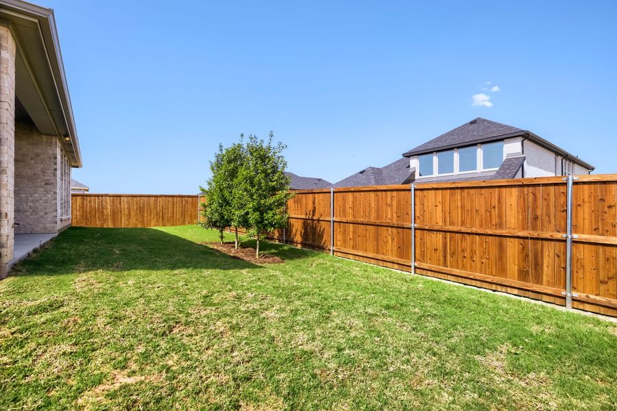 4302 Blackberry - Backyard