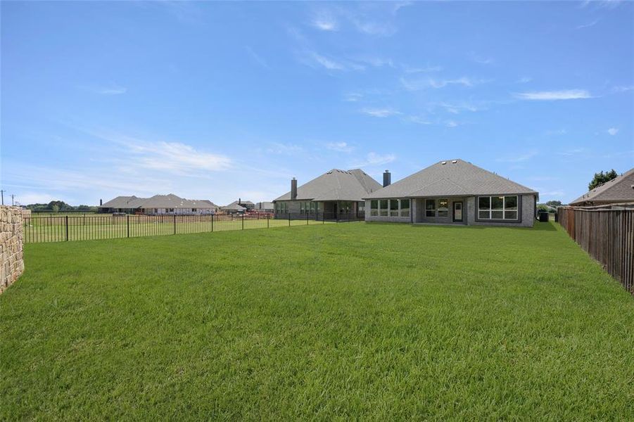 345 Paddle Boat- Back-1 345 Paddle Boat- Back-1