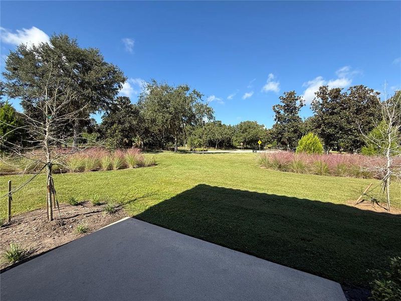 Natural landscape and outdoor views near The Townhomes at Bellalago in Kissimmee (Image 30). Natural landscape and outdoor views near The Townhomes at Bellalago in Kissimmee (Image 30).