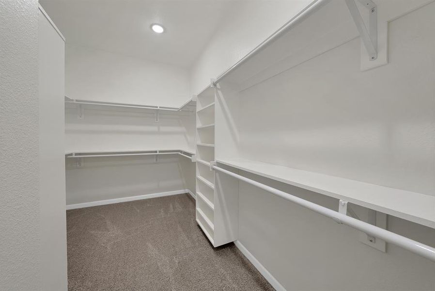 Spacious closet with dark colored carpet