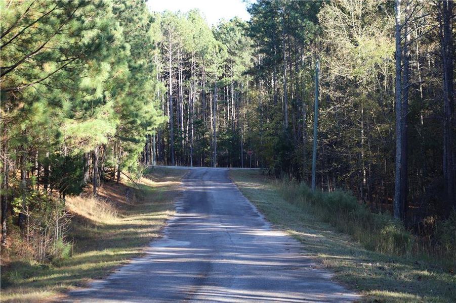 Natural landscape and outdoor views near  in Elberton (Image 19).