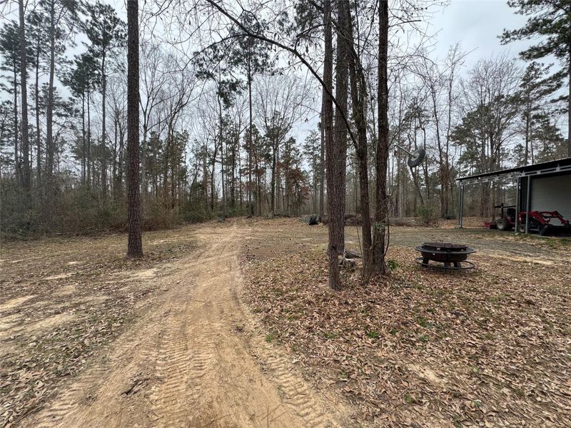 Natural landscape and outdoor views near  in Broaddus (Image 17).