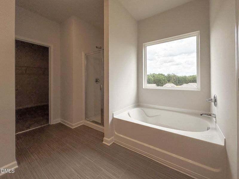 Representational Photo