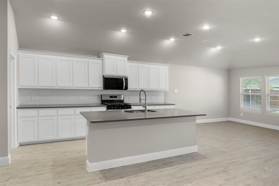 12. 141 Whistling Duck - Kitchen (2)