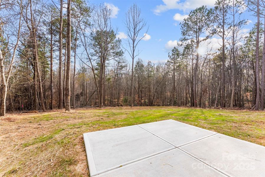 Natural landscape and outdoor views near  in Shelby (Image 42).