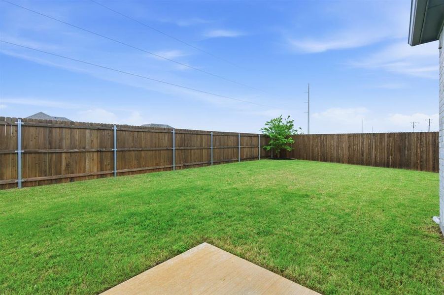 Backyard