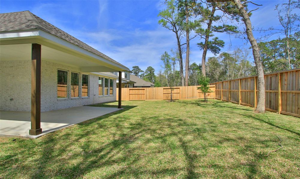 Exterior details and patio area of a home in The Woodlands Hills, Willis (Image 3).