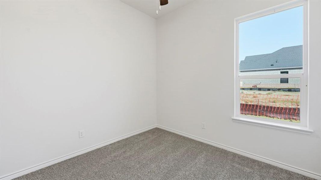 Empty room featuring carpet floors and a ceiling fan Empty room featuring carpet floors and a ceiling fan