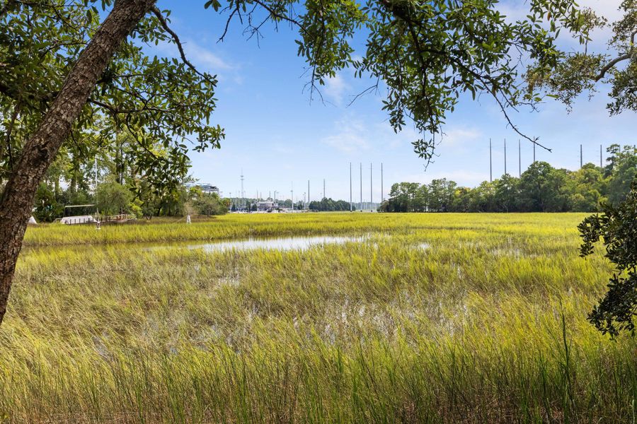 Natural landscape and outdoor views near Oak Bluff in Charleston (Image 36). Natural landscape and outdoor views near Oak Bluff in Charleston (Image 36).