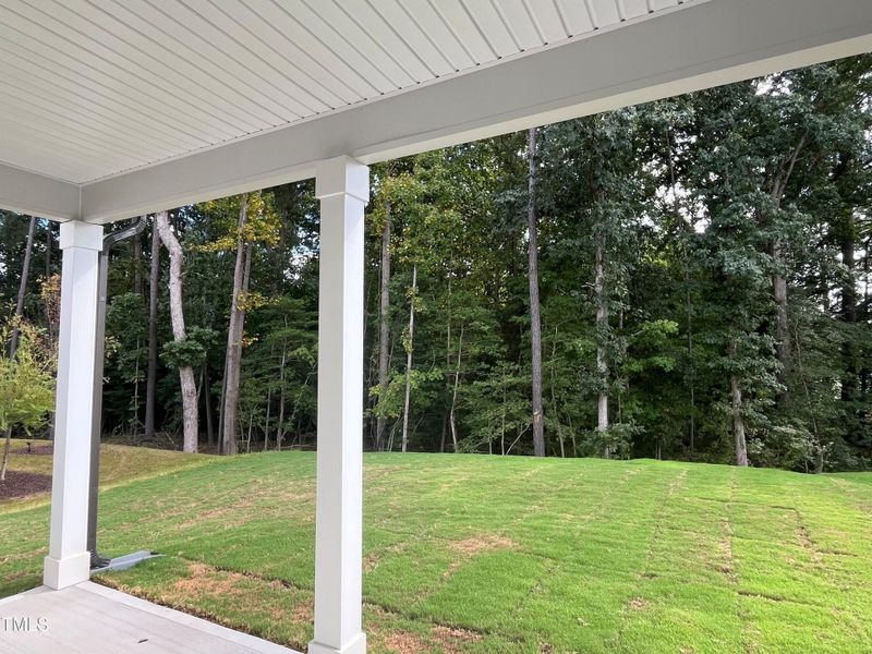View of yard from Covered Porch