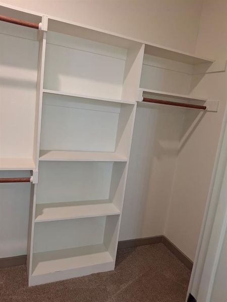 Spacious closet featuring dark carpet Spacious closet featuring dark carpet