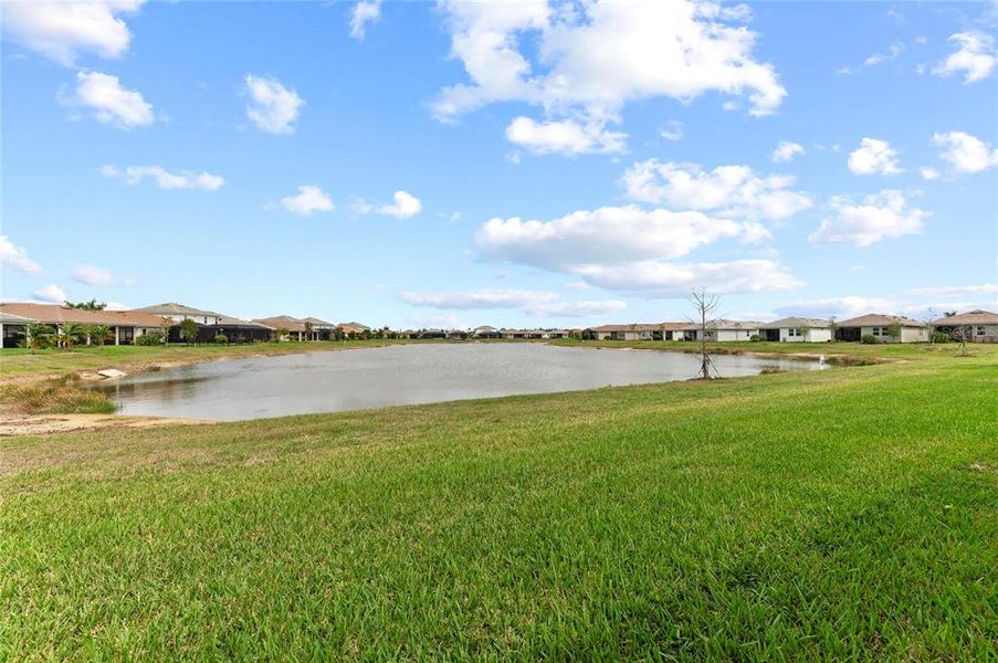 Natural landscape and outdoor views near  in Venice (Image 54).
