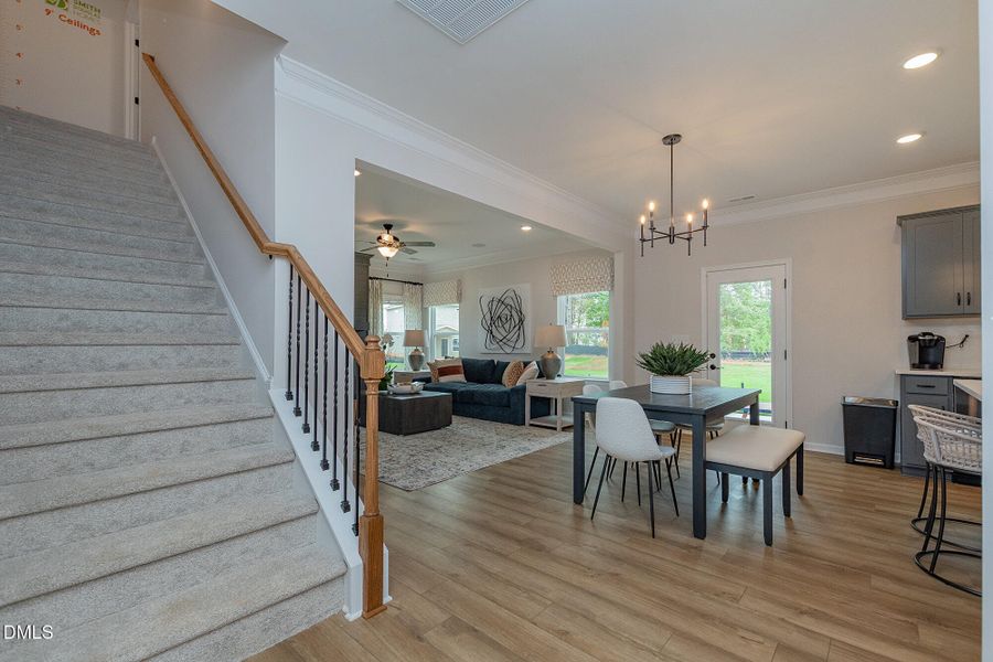 Representational Photo