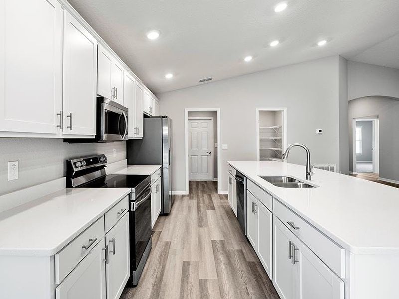 Interested in seeing a Paisley in person? Call or email us today!