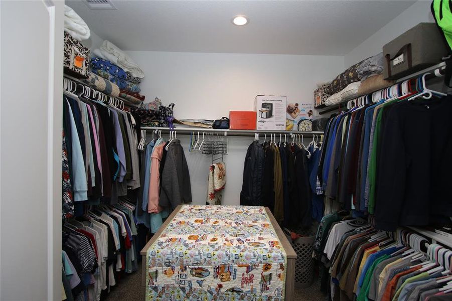 Spacious closet with carpet flooring