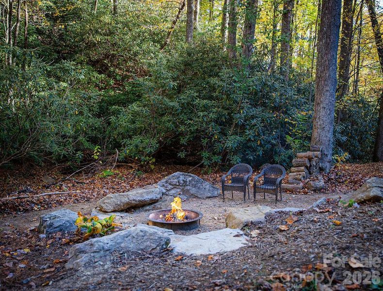Mature hardwoods and rhododendron