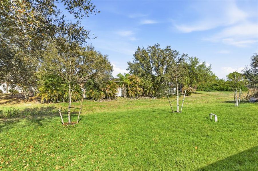 Natural landscape and outdoor views near  in North Port (Image 32).