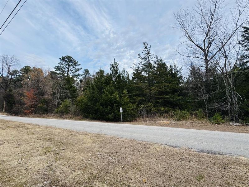 Natural landscape and outdoor views near  in Powderly (Image 10).
