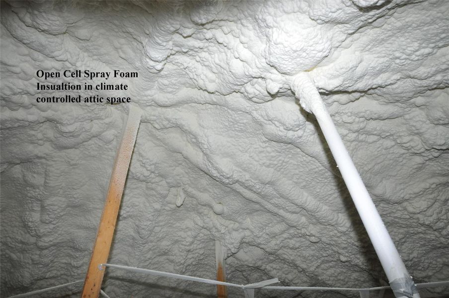 In addition to the Trane hvac, the home is equipped with a Dehumidifier.